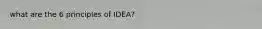 what are the 6 principles of IDEA?