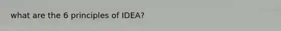 what are the 6 principles of IDEA?