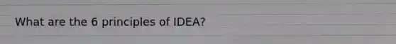 What are the 6 principles of IDEA?