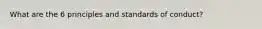 What are the 6 principles and standards of conduct?