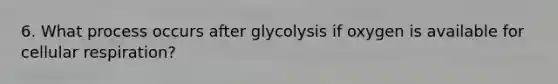 6. What process occurs after glycolysis if oxygen is available for <a href='https://www.questionai.com/knowledge/k1IqNYBAJw-cellular-respiration' class='anchor-knowledge'>cellular respiration</a>?