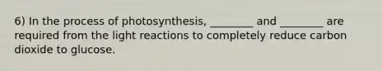 6) In the process of photosynthesis, ________ and ________ are required from the light reactions to completely reduce carbon dioxide to glucose.