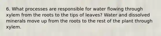 6. What processes are responsible for water flowing through xylem from the roots to the tips of leaves? Water and dissolved minerals move up from the roots to the rest of the plant through xylem.