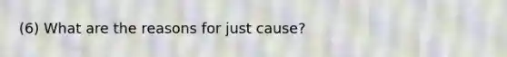 (6) What are the reasons for just cause?