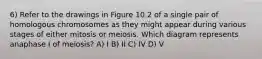 6) Refer to the drawings in Figure 10.2 of a single pair of homologous chromosomes as they might appear during various stages of either mitosis or meiosis. Which diagram represents anaphase I of meiosis? A) I B) II C) IV D) V