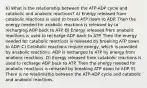 6) What is the relationship between the ATP-ADP cycle and catabolic and anabolic reactions? A) Energy released from catabolic reactions is used to break ATP down to ADP. Then the energy needed for anabolic reactions is released by to recharging ADP back to ATP. B) Energy released from anabolic reactions is used to recharge ADP back to ATP. Then the energy needed for catabolic reactions is released by breaking ATP down to ADP. C) Catabolic reactions require energy, which is provided by anabolic reactions. ADP is recharged to ATP by energy from anabolic reactions. D) Energy released from catabolic reactions is used to recharge ADP back to ATP. Then the energy needed for anabolic reactions is released by breaking ATP down to ADP. E) There is no relationship between the ATP-ADP cycle and catabolic and anabolic reactions.