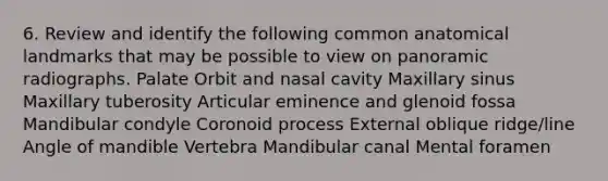 6. Review and identify the following common anatomical landmarks that may be possible to view on panoramic radiographs. Palate Orbit and nasal cavity Maxillary sinus Maxillary tuberosity Articular eminence and glenoid fossa Mandibular condyle Coronoid process External oblique ridge/line Angle of mandible Vertebra Mandibular canal Mental foramen