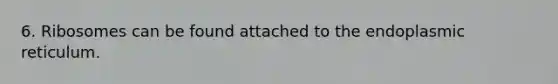 6. Ribosomes can be found attached to the endoplasmic reticulum.