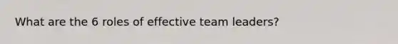 What are the 6 roles of effective team leaders?