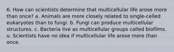 6. How can scientists determine that multicellular life arose more than once? a. Animals are more closely related to single-celled eukaryotes than to fungi. b. Fungi can produce multicellular structures. c. Bacteria live as multicellular groups called biofilms. u. Scientists have no idea if multicellular life arose more than once.