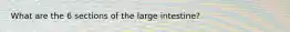 What are the 6 sections of the large intestine?