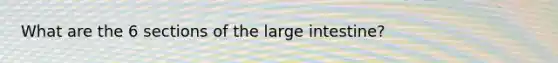 What are the 6 sections of the large intestine?