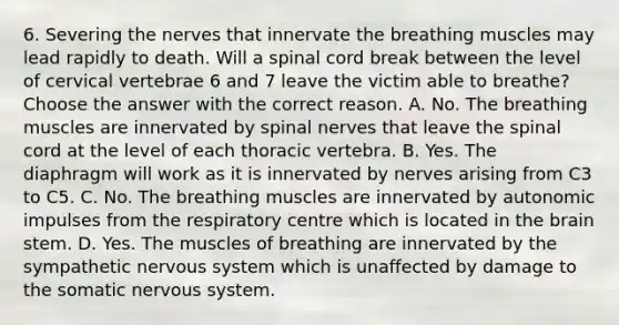 6. Severing the nerves that innervate the breathing muscles may lead rapidly to death. Will a spinal cord break between the level of cervical vertebrae 6 and 7 leave the victim able to breathe? Choose the answer with the correct reason. A. No. The breathing muscles are innervated by spinal nerves that leave the spinal cord at the level of each thoracic vertebra. B. Yes. The diaphragm will work as it is innervated by nerves arising from C3 to C5. C. No. The breathing muscles are innervated by autonomic impulses from the respiratory centre which is located in the brain stem. D. Yes. The muscles of breathing are innervated by the sympathetic nervous system which is unaffected by damage to the somatic nervous system.