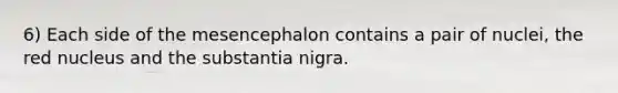 6) Each side of the mesencephalon contains a pair of nuclei, the red nucleus and the substantia nigra.