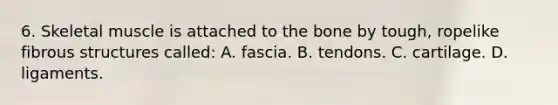 6. Skeletal muscle is attached to the bone by tough, ropelike fibrous structures called: A. fascia. B. tendons. C. cartilage. D. ligaments.