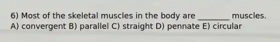 6) Most of the skeletal muscles in the body are ________ muscles. A) convergent B) parallel C) straight D) pennate E) circular