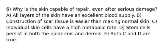 6) Why is the skin capable of repair, even after serious damage? A) All layers of the skin have an excellent blood supply. B) Construction of scar tissue is easier than making normal skin. C) Individual skin cells have a high metabolic rate. D) Stem cells persist in both the epidermis and dermis. E) Both C and D are true.