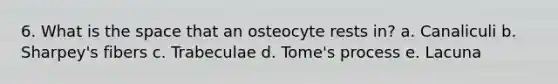 6. What is the space that an osteocyte rests in? a. Canaliculi b. Sharpey's fibers c. Trabeculae d. Tome's process e. Lacuna