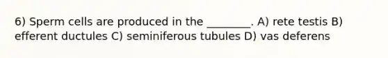 6) Sperm cells are produced in the ________. A) rete testis B) efferent ductules C) seminiferous tubules D) vas deferens