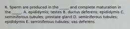 6. Sperm are produced in the _____ and complete maturation in the _____. A. epididymis; testes B. ductus deferens; epididymis C. seminiferous tubules; prostate gland D. seminiferous tubules; epididymis E. seminiferous tubules; vas deferens