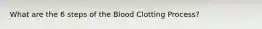 What are the 6 steps of the Blood Clotting Process?