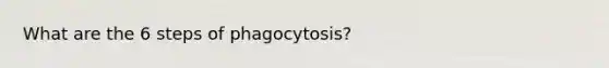 What are the 6 steps of phagocytosis?