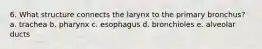 6. What structure connects the larynx to the primary bronchus? a. trachea b. pharynx c. esophagus d. bronchioles e. alveolar ducts