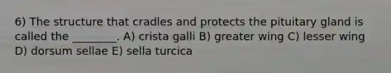 6) The structure that cradles and protects the pituitary gland is called the ________. A) crista galli B) greater wing C) lesser wing D) dorsum sellae E) sella turcica