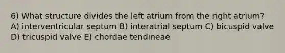 6) What structure divides the left atrium from the right atrium? A) interventricular septum B) interatrial septum C) bicuspid valve D) tricuspid valve E) chordae tendineae