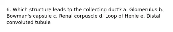 6. Which structure leads to the collecting duct? a. Glomerulus b. Bowman's capsule c. Renal corpuscle d. Loop of Henle e. Distal convoluted tubule