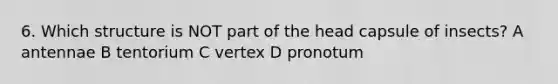 6. Which structure is NOT part of the head capsule of insects? A antennae B tentorium C vertex D pronotum