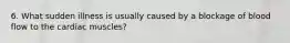 6. What sudden illness is usually caused by a blockage of blood flow to the cardiac muscles?