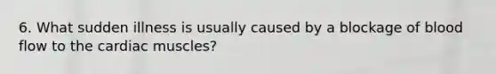 6. What sudden illness is usually caused by a blockage of blood flow to the cardiac muscles?