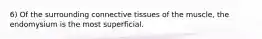 6) Of the surrounding connective tissues of the muscle, the endomysium is the most superficial.