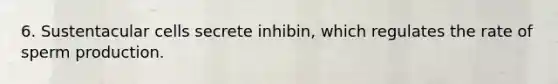 6. Sustentacular cells secrete inhibin, which regulates the rate of sperm production.