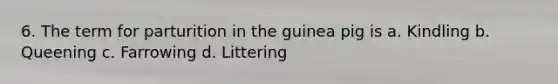 6. The term for parturition in the guinea pig is a. Kindling b. Queening c. Farrowing d. Littering