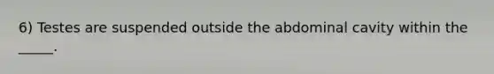 6) Testes are suspended outside the abdominal cavity within the _____.