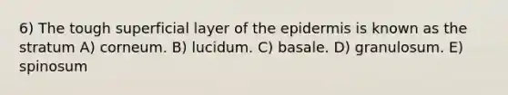 6) The tough superficial layer of the epidermis is known as the stratum A) corneum. B) lucidum. C) basale. D) granulosum. E) spinosum