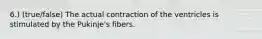 6.) (true/false) The actual contraction of the ventricles is stimulated by the Pukinje's fibers.