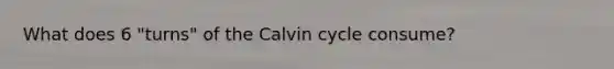 What does 6 "turns" of the Calvin cycle consume?