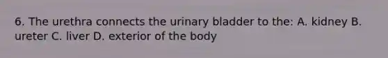 6. The urethra connects the urinary bladder to the: A. kidney B. ureter C. liver D. exterior of the body