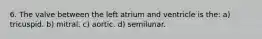 6. The valve between the left atrium and ventricle is the: a) tricuspid. b) mitral. c) aortic. d) semilunar.