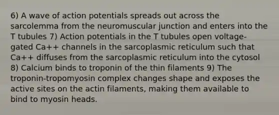 6) A wave of action potentials spreads out across the sarcolemma from the neuromuscular junction and enters into the T tubules 7) Action potentials in the T tubules open voltage-gated Ca++ channels in the sarcoplasmic reticulum such that Ca++ diffuses from the sarcoplasmic reticulum into the cytosol 8) Calcium binds to troponin of the thin filaments 9) The troponin-tropomyosin complex changes shape and exposes the active sites on the actin filaments, making them available to bind to myosin heads.