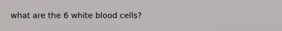 what are the 6 white blood cells?