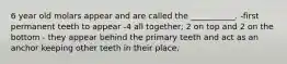6 year old molars appear and are called the ___________. -first permanent teeth to appear -4 all together; 2 on top and 2 on the bottom - they appear behind the primary teeth and act as an anchor keeping other teeth in their place.
