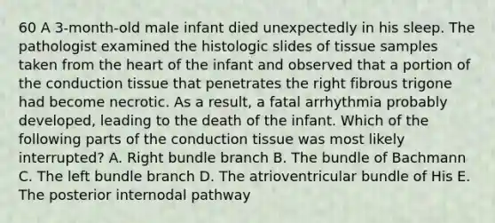 60 A 3-month-old male infant died unexpectedly in his sleep. The pathologist examined the histologic slides of tissue samples taken from the heart of the infant and observed that a portion of the conduction tissue that penetrates the right fibrous trigone had become necrotic. As a result, a fatal arrhythmia probably developed, leading to the death of the infant. Which of the following parts of the conduction tissue was most likely interrupted? A. Right bundle branch B. The bundle of Bachmann C. The left bundle branch D. The atrioventricular bundle of His E. The posterior internodal pathway