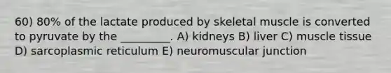 60) 80% of the lactate produced by skeletal muscle is converted to pyruvate by the _________. A) kidneys B) liver C) <a href='https://www.questionai.com/knowledge/kMDq0yZc0j-muscle-tissue' class='anchor-knowledge'>muscle tissue</a> D) sarcoplasmic reticulum E) neuromuscular junction