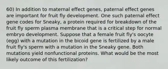 60) In addition to maternal effect genes, paternal effect genes are important for fruit fly development. One such paternal effect gene codes for Sneaky, a protein required for breakdown of the fruit fly sperm plasma membrane that is a critical step for normal embryo development. Suppose that a female fruit fly's oocyte (egg) with a mutation in the bicoid gene is fertilized by a male fruit fly's sperm with a mutation in the Sneaky gene. Both mutations yield nonfunctional proteins. What would be the most likely outcome of this fertilization?