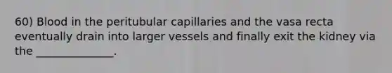 60) Blood in the peritubular capillaries and the vasa recta eventually drain into larger vessels and finally exit the kidney via the ______________.