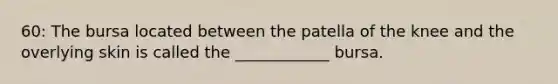 60: The bursa located between the patella of the knee and the overlying skin is called the ____________ bursa.